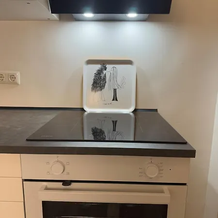 Apartman Charming Ranke 11 Graz